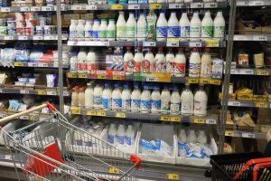 Эксперт Волкова рассказала о реальной пользе кисломолочных продуктов